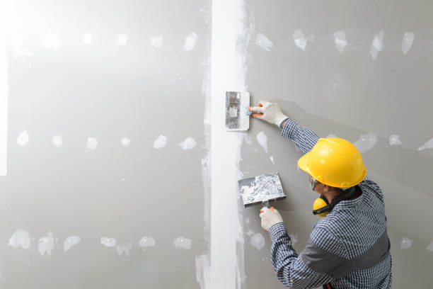 Mold Remediation for Rental Properties in Bayou Vista, LA