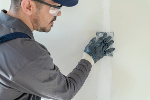 Best Mold Remediation for Rental Properties  in Bayou Vista, LA