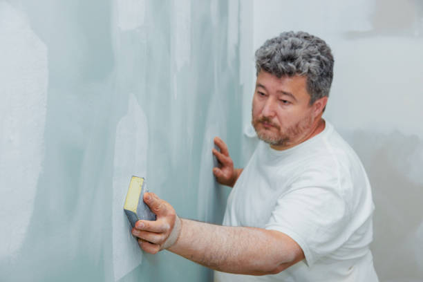 Best Mold Prevention Services  in Bayou Vista, LA