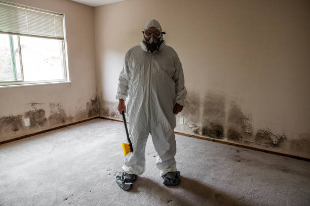 Mold Removal for HVAC Installations in Bayou Vista, LA