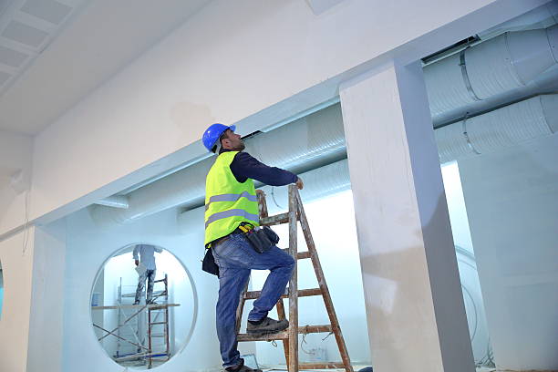 Best Forensic Mold Investigation  in Bayou Vista, LA
